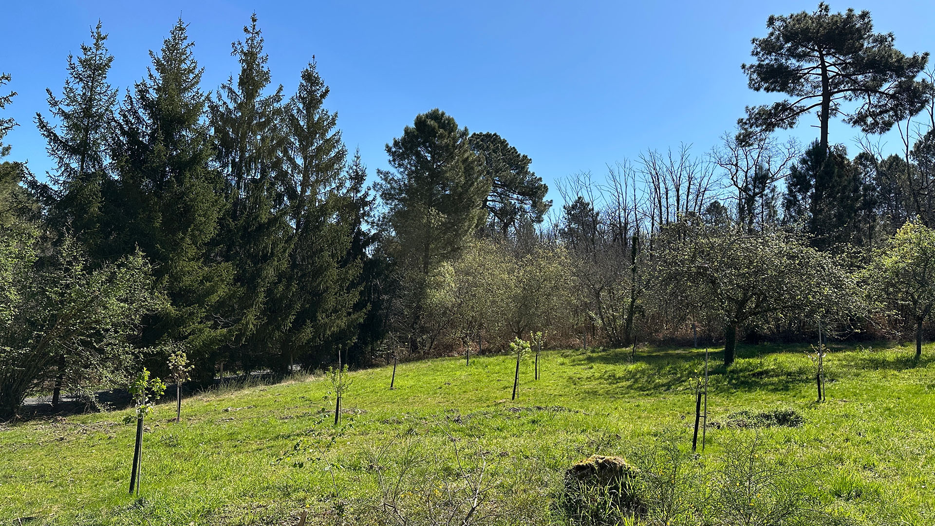 La Tuilière Naturalism Refuge > Image 4